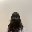 퀸즈브라운 | 차홍룸 마곡점 김보나 쿨애쉬브라운 염색 후기