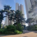 연월 1 월송경로당 | 공원인지 아파트인지! 안산 레이크타운 푸르지오, 직접 다녀온 후기 (장점, 커뮤니티, 시세 정보 포함)