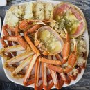 펫-오션 이미지