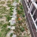심곡지 | 경주 모임장소 최애 장소 &lt;깅고하우스&gt; (ft. 모임하기 좋은 곳)