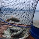 하와이낚시터 이미지