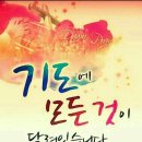 해독박사다이어트