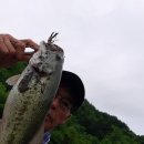m대 은퇴와 이틀간의 조행기(스피닝 배스낚시)