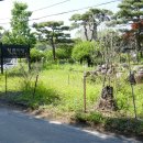 마당오리 이미지