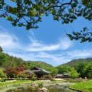 국도광고 - 영등포구 | [광고] ★6/6,13出★동해안 7번국도 따라 1박2일여행 (울진,영덕,포항,경주)