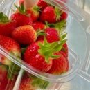 진천농장 이미지