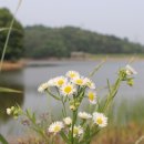 어둔저수지 이미지