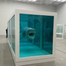 <한줄 철학> 철학자의 죽음 | 국립현대미술관서울 데이미언 허스트 전시관람에 도움되는 아리스토텔레스의 시학