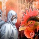 시일농장 이미지