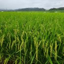 진옥농장 이미지