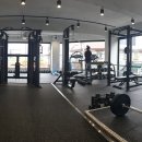 MILO GYM 이미지