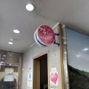 보성녹차(목포)휴게소 | 남해고속도로휴게소 보성녹차휴게소 목포방향 식당 수유실