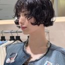 테리미용실 - 천안시 동남구 순천향1길 7 | 테리미용실