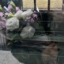 뚱띠네 | ⛓️‍💥