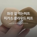 피카소 | 화잘먹 퍼프 추천 피카소 클라우드 퍼프 내돈내산 후기