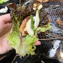 화계 | 춘천 현지인 맛집 닭갈비 최강인 화계닭갈비 후기