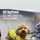 큐독
