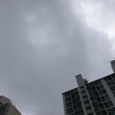 탑존자동차외형복원 이미지