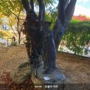 숙명여자대학교 라이프스타일디자인대학원 이미지