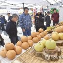 원주원예농협하나로클럽 이미지
