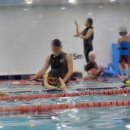 대한키즈 스윔스쿨 동대문 캠퍼스 이미지