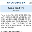 turn a blind eye(못 본 척하다) 이미지