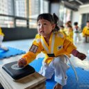 품 태권도 이미지