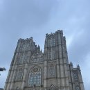 경희정문약국 이미지