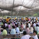 법수면공설운동장 이미지