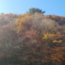 복흥면 체육공원 | [from. 블로그씨] 산 정상에서 본 멋진 풍경 공유 (2018 내장산, 천아수원지 단풍 구경 추억 팔이)