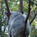 노을칸타타 이미지