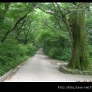 산새소리 이미지