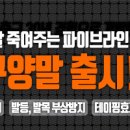 (성남)fc파리 오전9~11시 용병모집 이미지