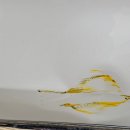 타스자동차공업사 이미지