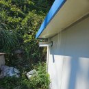 독천주유소 이미지