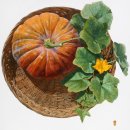 호박이넝쿨째 이미지