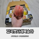 감곡축산 | 복숭아철 감곡햇사레복숭아 어린이건강간식