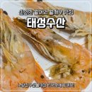 태성 | 노량진수산시장 태성수산 제철 새우 후기