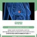 공도5로 이미지