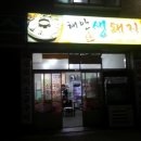 해안생돼지