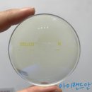 아이랜드안경전문점 네이버블로그