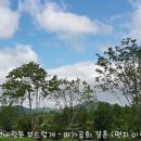 피가로의 결혼 중 '편지의 이중창' (Sull’aria from Le nozze di Figaro)모차르트/쇼생크 탈출OST/30분반 이미지