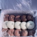 고풍로 | 전국 떡 맛집 일산 잔기지떡 장인 <한잎애 잔기지떡> 솔직 후기