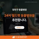 미래동물병원(출장진료전문동물병원) | 양천구 동물병원 추천, 보호자님의 선택 기준은?