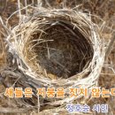 새들채