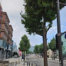 법사 행정사 이미지