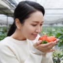 월롱농장 네이버블로그
