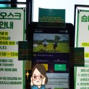 주식회사 이색투어 이미지