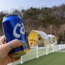 새연리조트 | 가평 애견 카라반 추천 새연리조트 가평현리1호점 퍼피카라반