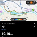 GS25 아산시민점 | [25아산은행나무길 마라톤후기] 10K 참가자 단체 역주행 사건